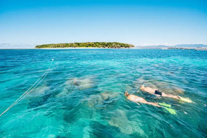 Green Island on the horizon with snorkellers