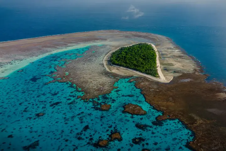 Southern reef