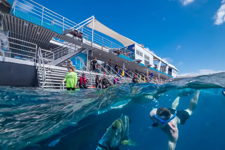Snorkellers in calm water beside a reef pontoon